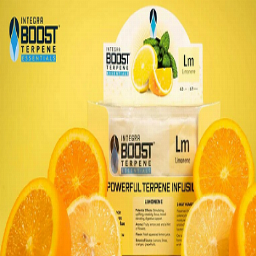 Integra Boost Terpene Essentials 62％ テルペン入り調湿剤 67g